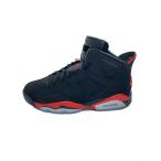 NIKE◆AIR JORDAN 6 RETRO BLACK/28cm/BLK/CT8529-001