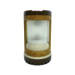 Coleman* фонарь / аккумулятор блокировка / compact фонарь / тип аккумулятора / дерево / Coleman 