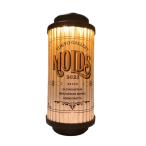 38explore* фонарь //