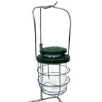 Coleman* фонарь 2500 North Star LP газовый фонарь 2000015520 [ зеленый ]/ газ //