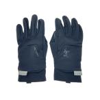ARC*TERYX* перчатки /GORE-TEX/ нейлон / черный / мужской 