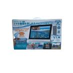 TEES* портативный DVD плеер PDVD-W111M//