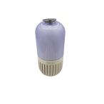 SPICE*... Capsule / динамик /CS2020WH//