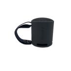 SONY* динамик SRS-XB100