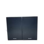 Panasonic* динамик /SB-PM02//