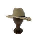 THE H.W.DOG&CO.◆ストローハット/--/IVO/無地/メンズ