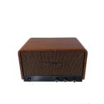 AIRPULSE* динамик /P100X