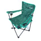 Coleman* arm стул ( зеленый ) 2000013097/1 человек для /GRN