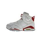 NIKE◆AIR JORDAN 6_エア ジョーダン 6/27.5cm/WHT