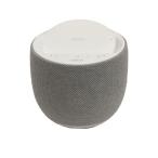 BELKIN* динамик 