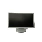 NEC* монитор /21 дюймовый / квадратное type /M220F1