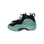 NIKE◆AIR FOAMPOSITE PRO/エアフォームポジットプロ/ブルー/624041-303/26cm/BLU