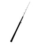 DAIWA* наружный Ray jiBR J60B-2.5/ удилище /SW offshore /05804165