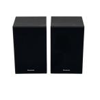 Panasonic* динамик /sb-pm02