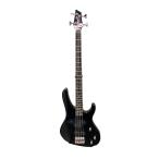 Washburn*PB-1250/ электрический бас / мягкий чехол приложен / черный /PAT BADGER Signature Model 