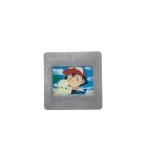 明治製菓/ピクチャーフレーム/ポケモン無