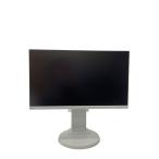 NEC* жидкокристаллический монитор * жидкокристаллический дисплей MultiSync LCD-E221N [21.5 дюймовый ]//