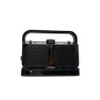 JVC*Victor* динамик SP-A900