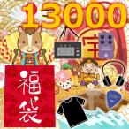 ショッピング福袋 新年の運試し！ 2026 ギタリスト向け 福袋 梅コース 楽器屋 楽器店 の 福袋