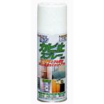 アトムハウスペイント　強力　カビ止スプレー　容量：300ml