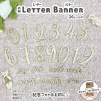 月齢 フォト グッズ 20ピース セット レターバナー 木製 ベビー ニューボーンフォト 寝相アート マタニティフォト メモリアル ユ00582