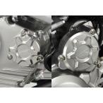 AGRAS D-TRACKER125 крышка двигателя относящийся детали комплект крышек цвет серебряный Agras 