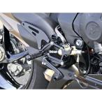 STRIKER F3 800/RR задняя подножка относящийся детали подножка комплект MV AGUSTA F3 800/RR( черный ) ударник 