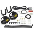 SP TAKEGAWA ADV150 ADV160 передняя фара * клапан(лампа) LED противотуманая фара комплект 3.0(950/2 штук / лимон желтый ) SP Takegawa 