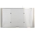 MORIWAKI XSR900GP XSR900 радиатор относящийся детали Radiator Core Guard( анодированный алюминий серебряный ) Moriwaki 