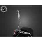 T&amp;F Eliminator 250V "пассажирская спинка" Eliminator 250V оригинальный крыло специальный "пассажирская спинка" длинный ( металлизированный ) гараж T&amp;F