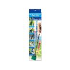 Kotobuki ペット用品 K-0252 5in1クリーニングセット 寿工芸