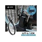 LEAD прочее кража профилактические товары CA-03 UT блокировка 350MM Lead промышленность 