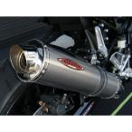 STRIKER Z900RS глушитель STREET CONCEPT полный выхлоп JMCA глушитель titanium solid ударник 