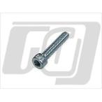 GUTS CHROME Harley-Davidson ハンドル周辺パーツ 1972-1981年 スイッチハウジング用スクリュー HEX ガッツクロ…