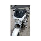 WW CB400SF X4 обтекатель * обвес универсальный обтекатель с экраном DS-01 typeR( жемчуг crystal белый ) world walk 