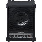Roland Cube Monitor 30W CM-30