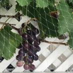 鳥よけネット ベランダ 防鳥ネット 透明色で視界や日差しを遮らない 小型な鳥た