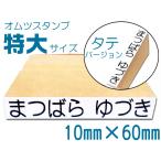 お名前スタンプ単品サイズ おむつスタンプ特大サイズ オムツスタンプ 入園 名前付け