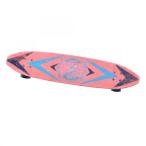 VINTAGE SKATEBOARD(HOPE) Vintage скейтборд скейтборд 