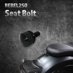 ショッピングクラッチ 【Eクラッチモデル対応！】レブル250　シートボルトM8　ブラック