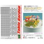  мир . бумага .. бумажное моделирование 1/12 стол сад комплект цветок *. мак G-6