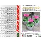  мир . бумага .. бумажное моделирование 1/12 стол сад комплект цветок *. цикламен персидский G-15