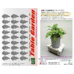  мир . бумага .. бумажное моделирование 1/12 стол сад комплект цветок *. Asian tamG-33