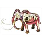 アオシマ 立体パズル 4D VISION 動物解剖 マンモス解剖モデル