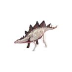 アオシマ 立体パズル 4D VISION 動物解剖 ステゴサウルス 解剖モデル