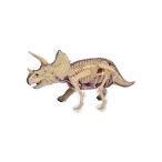 アオシマ 立体パズル 4D VISION 動物解剖 トリケラトプス 解剖モデル