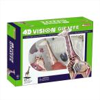 アオシマ 立体パズル 4D VISION 動物解剖 キリン解剖モデル