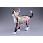 4D VISION 立体パズル No.29 動物解剖モデル 猫解剖モデル 黒/白
