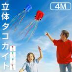  кайт кайт .. цельный осьминог кайт легкий крепкий Sky кайт 4M бумага . кайт ... нет сборка не необходимо место хранения сумка имеется перевозка удобный уличный отдых пикник парк 