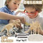 Yahoo! Yahoo!ショッピング(ヤフー ショッピング)化石 発掘 恐竜 工作 知育 プレゼント 誕生日 クリスマス お祝い 男の子 女の子 サプライズ 子供 おもちゃ 工作  知育 送料無料